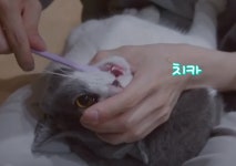더쿠 - 태민이 꿍이는 공주고 댕이는 왕자라고