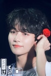 더쿠 - 정한이 꽃 꽂은거 보고 기절했자나