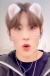 너가 고양이냐구ㅠㅠㅠㅠㅠㅠㅠ - 박우진 카테고리