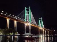 어제 경기 끝나고 귀산 갔는데 도미들 보이더라 ꉂꉂ₍๐ᵔᗜᵔ๐₎ꔪꉂꉂ₍๐ᵔᗜᵔ๐₎ꔪ - 국내야구 카테고리