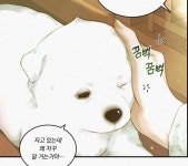 더쿠 - 귀야곡 잊지마