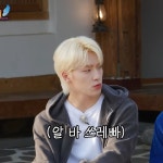 더쿠 - 오늘의 고잉짤 (46 +4)