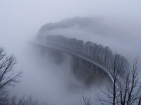 Winding Bridge in Dense Fog with Bare Trees | Deep Dream Generator Misty Bridge Through Enchanted Woods | Deep Dream Generator