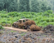 AI Generated Truck Photos and Artwork | Deep Dream Generator