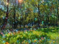 Vibrant Forest Scene with Colorful Flowers and Bubbles | Deep Dream Generator Bubble Bliss in Sunlit Park | Deep Dream Generator