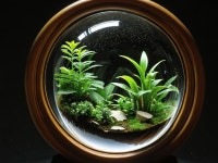 Spherical Glass Terrarium with Miniature Garden Display | Deep Dream Generator Serene Glass Terrarium with Lush Foliage | Deep... 
