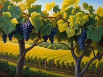 Vibrant Vineyard with Ripe Grapes and Rolling Hills | Deep Dream Generator Vibrant Vineyard Under Bright Blue Sky | Deep Dream... 