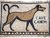 Colorful Mosaic of Dog with CAVE CANEM Inscription | Deep Dream Generator Mosaic Art: Beware of the Dog Design | Deep Dream... 