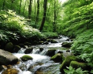 AI Generated Tranquility Photos and Artwork | Deep Dream Generator