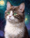 Fluffy Tabby Cat with Green Eyes in Cosmic Setting | Deep Dream Generator Cosmic Cats Enchanting Stare | Deep Dream Generator