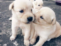 창준 박님의 내가 만든 명소 - 마이페이지 | 세상의 모든 여행, 위시빈