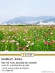 대저생태공원 | 세상의 모든 여행, 위시빈