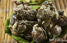 굴 농장 | 세상의 모든 여행, 위시빈