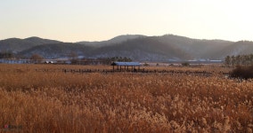 시화호 갈대습지공원 | 세상의 모든 여행, 위시빈