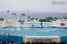 해양박람회 기념공원 | 세상의 모든 여행, 위시빈