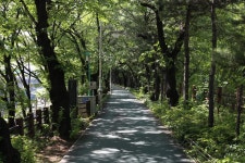 허밍웨이 길 | 세상의 모든 여행, 위시빈