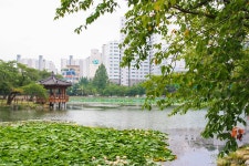운천저수지 | 세상의 모든 여행, 위시빈