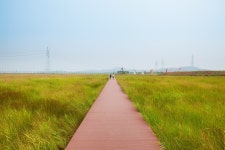안산 - 인천 가볼만한 곳 > 거리, 광장, 마을 | 세상의 모든 여행, 위시빈