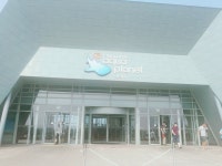 아쿠아플라넷 제주 | 세상의 모든 여행, 위시빈