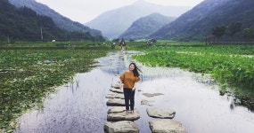 고성 상리연꽃공원 | 세상의 모든 여행, 위시빈