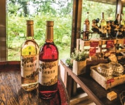 교호 와이너리 | 세상의 모든 여행, 위시빈