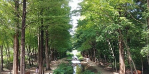 [경상북도 산림환경연구원] 화보촬영지..? | 세상의 모든 여행, 위시빈