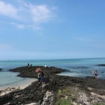 [세화해수욕장] 제주도 동쪽에서 핫한 세화해변 | 세상의 모든 여행, 위시빈