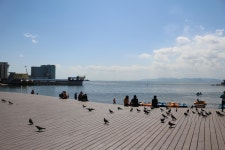 [해양공원] 해양공원에서 여유로운 시간 만끽하기 | 세상의 모든 여행, 위시빈