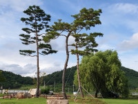 [고창고인돌박물관] 고인돌공원 | 세상의 모든 여행, 위시빈