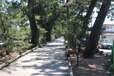 미호소나무길 - 요코하마 가볼만한 곳 > 관광지 | 세상의 모든 여행, 위시빈