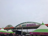 [코리아플라워파크] 세계튤립축제  | 세상의 모든 여행, 위시빈