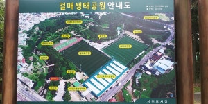 [솜반천] 솜반천 | 세상의 모든 여행, 위시빈