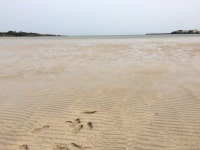  - 세상의 모든 여행, 위시빈