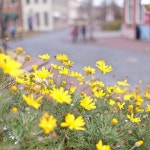 마이하프타임 | 세상의 모든 여행, 위시빈