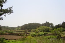 눈오름 봉성 | 세상의 모든 여행, 위시빈