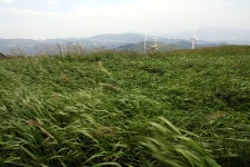 대관령 거리, 광장, 마을 가볼만한곳 추천 | 세상의 모든 여행, 위시빈