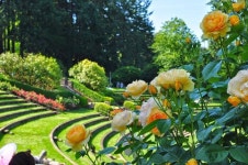 장미 정원, 로즈 가든 | 세상의 모든 여행, 위시빈