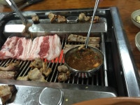 한라산도야지 | 세상의 모든 여행, 위시빈