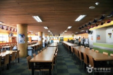 사조리조트 스키장 | 세상의 모든 여행, 위시빈