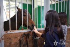 운주산승마자연휴양림 | 세상의 모든 여행, 위시빈