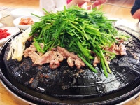 감골오리 | 세상의 모든 여행, 위시빈