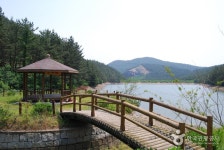 국립 희리산해송자연휴양림 | 세상의 모든 여행, 위시빈