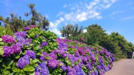 신화역사로 - 제주 가볼만한 곳 > 즐길거리 | 세상의 모든 여행, 위시빈