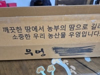 농협몰(NH싱씽몰) 서안동농협 유명산지 우엉 2kg 특상중알뜰