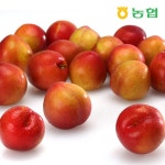 농협몰(NH싱씽몰) 아포농협 자두(후무사) 왕특 2.5kg