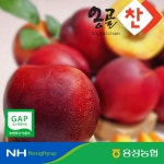 농협몰(NH싱씽몰) (농할)[용성농협]GAP 천도복숭아 2kg/4kg(옵션선택)