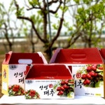 농협몰(NH싱씽몰) [오부자대추농장]안성 사과대추 건대추 1kg l 깔끔한 단맛, 색다른 건대추