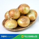 농협몰(NH싱씽몰) [농할쿠폰][익산원예농협]국내산 신선한 선별 26년 햇 양파 중대 사이즈 