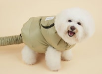 쁘띠앤포 :: 1300k 천삼백케이 PETIT N PAW[쁘띠앤포]