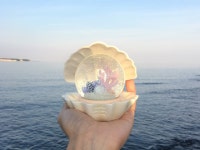 제주바당 :: 1300k 천삼백케이 JEJUBADANG[제주바당]